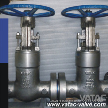 API 600 Cl1500-Cl2500 Pressure Sealed Bonnet Gate Valve